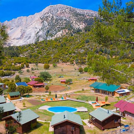 Hotel Babakamp Eco Ranch & Retreat Ölüdeniz Zewnętrze zdjęcie