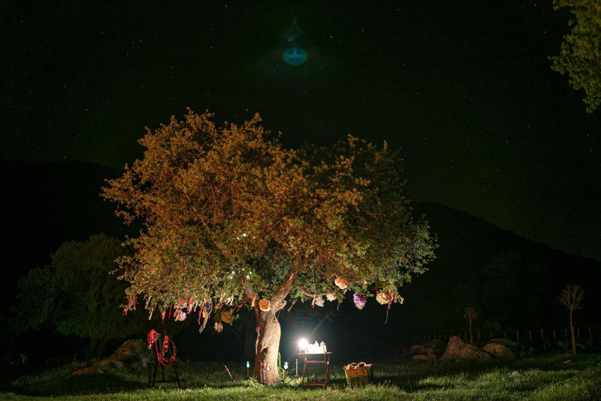 Hotel Babakamp Eco Ranch & Retreat Ölüdeniz Zewnętrze zdjęcie