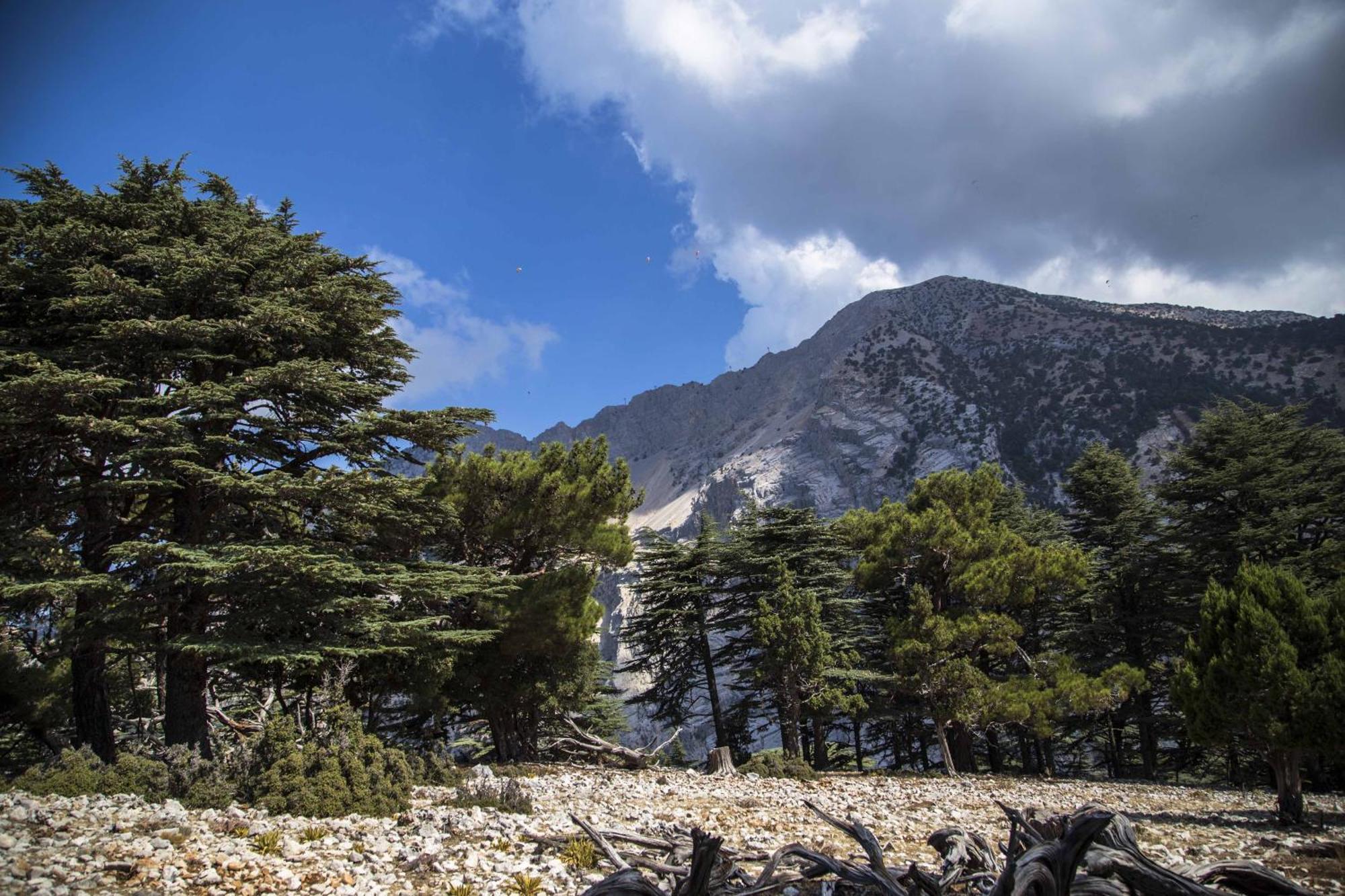 Hotel Babakamp Eco Ranch & Retreat Ölüdeniz Zewnętrze zdjęcie