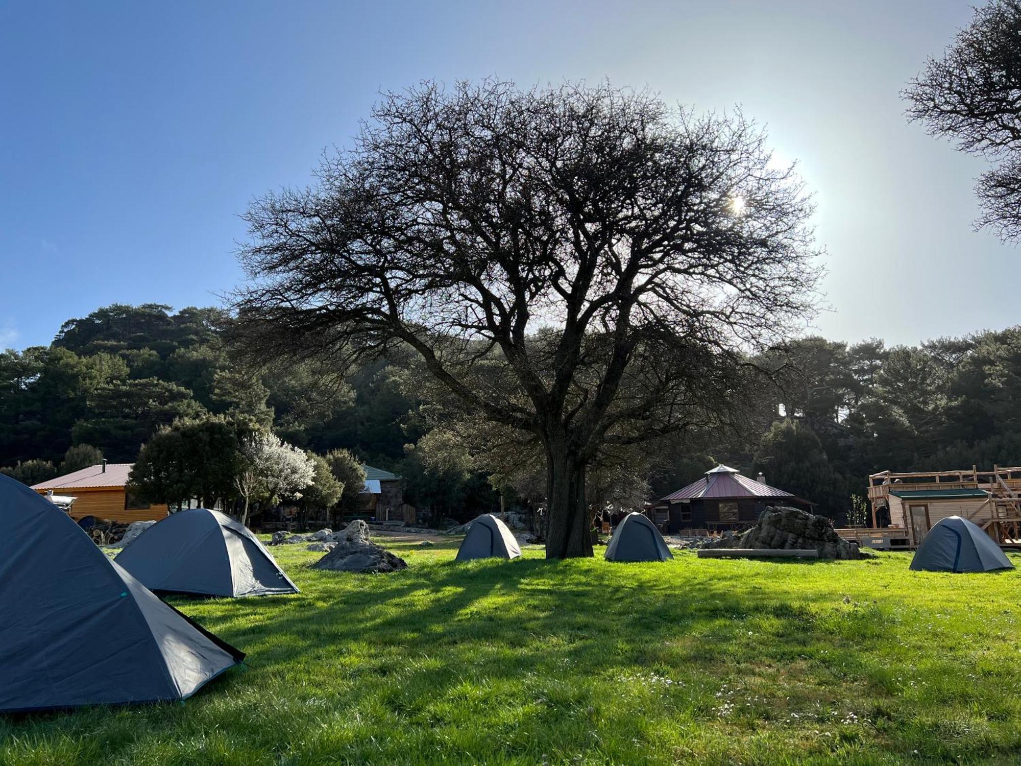 Hotel Babakamp Eco Ranch & Retreat Ölüdeniz Zewnętrze zdjęcie