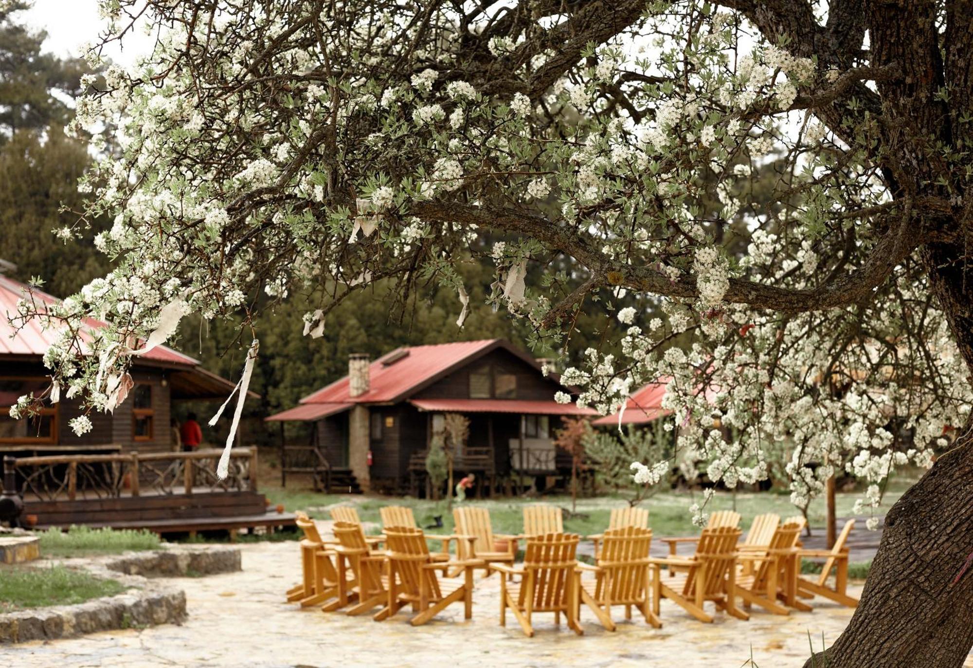 Hotel Babakamp Eco Ranch & Retreat Ölüdeniz Zewnętrze zdjęcie