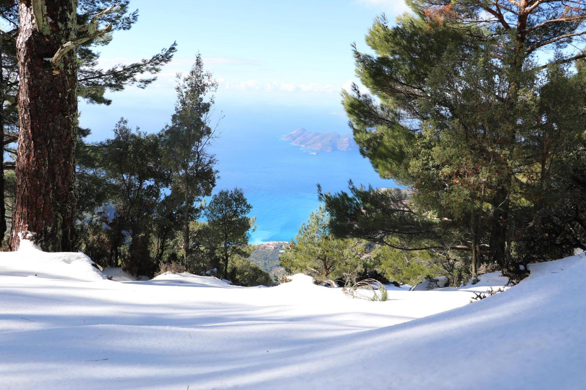 Hotel Babakamp Eco Ranch & Retreat Ölüdeniz Zewnętrze zdjęcie